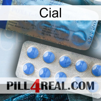 Cial 40